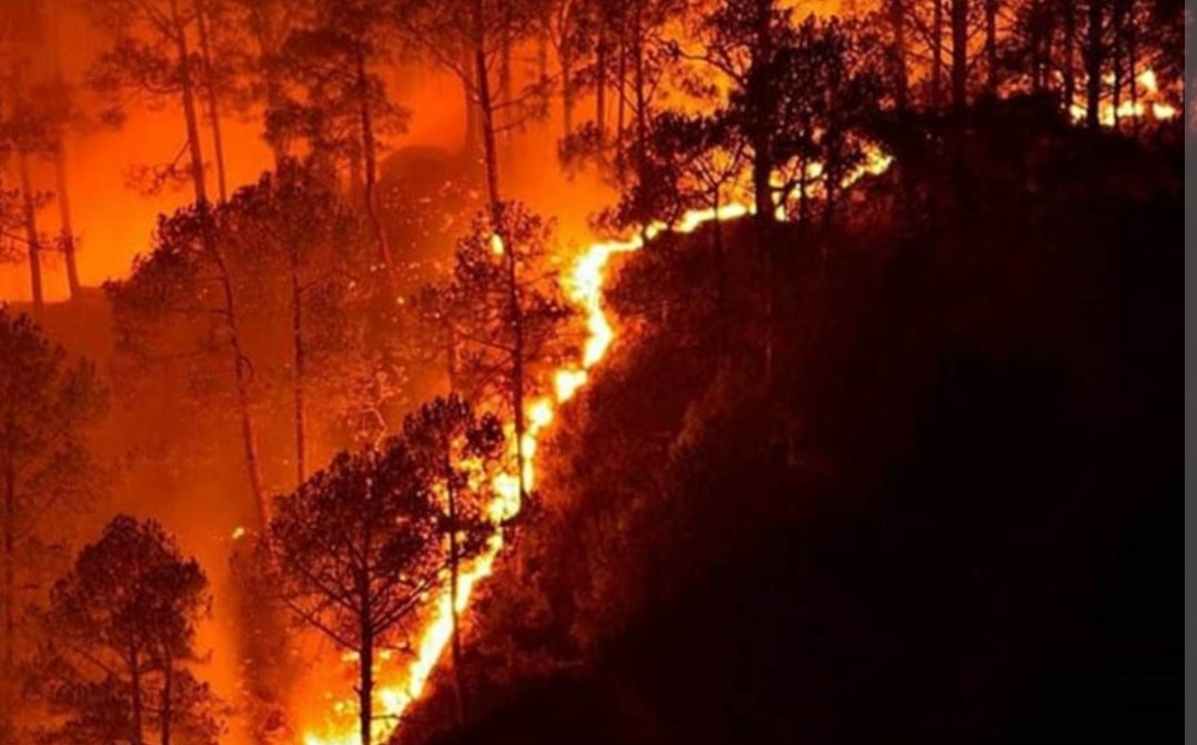 मानवीय कारण वन डढेलो बढ्दैः राष्ट्रिय कार्ययोजना, २०८२