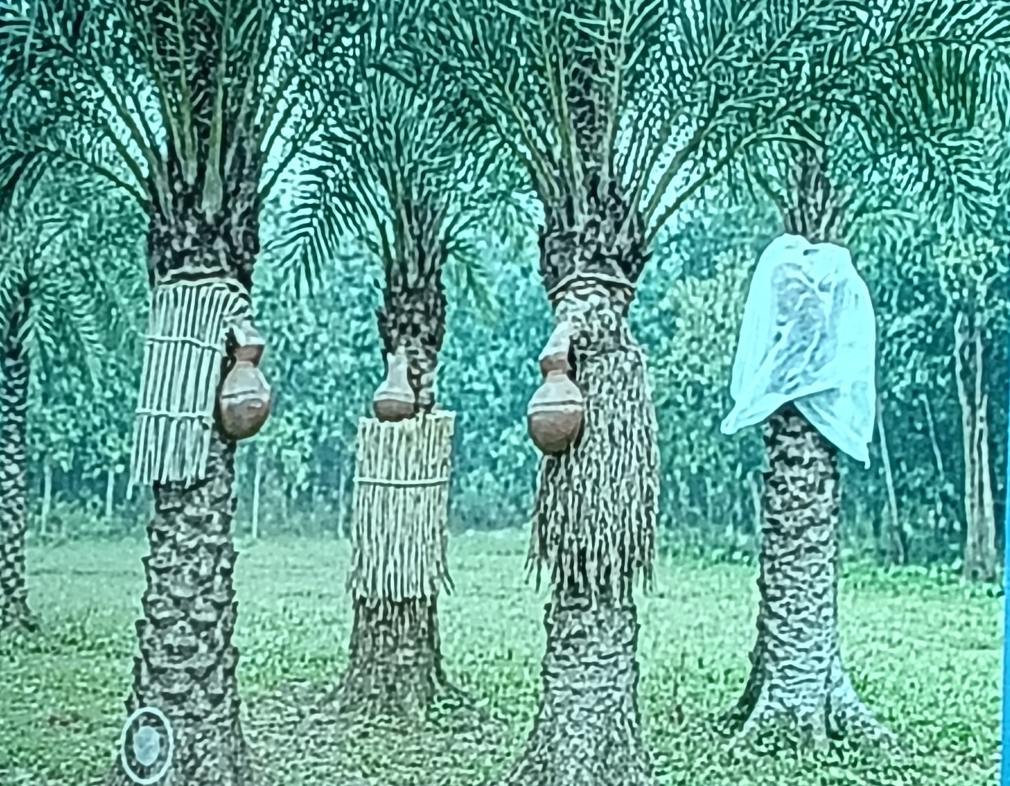 कसरी जाेगिने निपाह भाइरसबाट ?